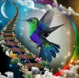 Meet your Posher, Gomez